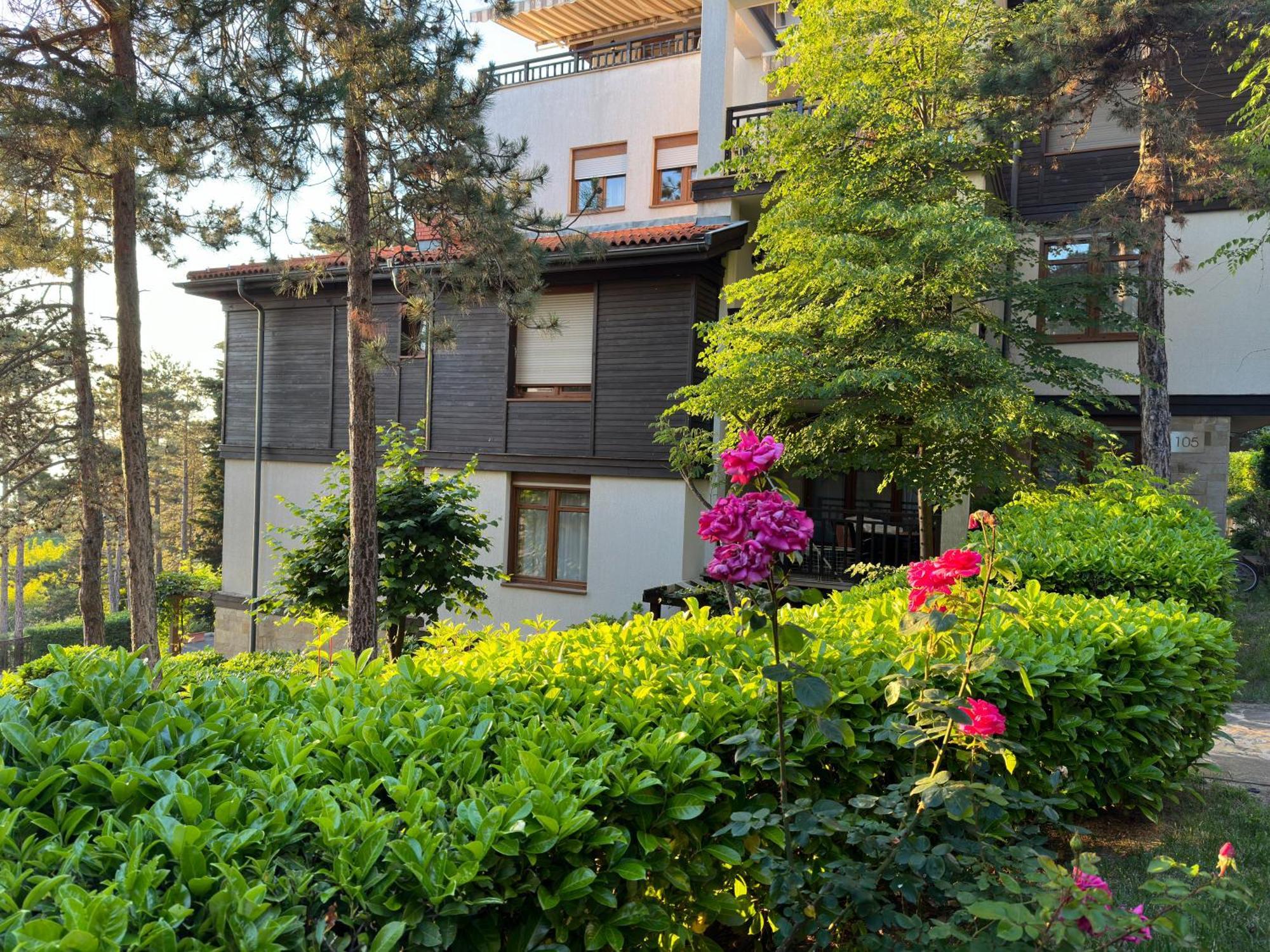 Sm Lovely Apartments On The First Line In Sozopol Exterior photo